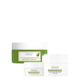 Avocado Essentials Set